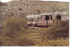 
Brecon Mountain Railway, 'Graf Schwerin-Lowitz', Jung 1261, May 1985