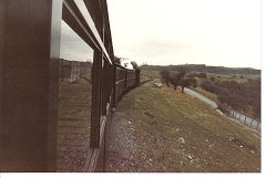 
Brecon Mountain Railway, From the carriage window, May 1985