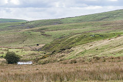 
Merthyr Common, Pen-y-darren Pits, September 2015