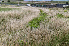 
A leat of the Dowlais Free Drainage System at Cwm Bargoed Station, June 2019