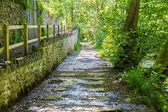 
Gurnos Tramroad, June 2014