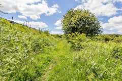 
The tramway from Pant to the sand pits at Pontsticill, June 2014