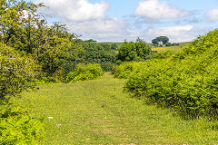 
Morlais Castle Quarries, the tramroad from Merthyr, June 2014