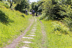 
Morlais Castle Quarries, the tramroad from Merthyr, June 2014