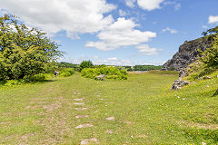 
Morlais Castle Quarries, the tramroad from Merthyr, June 2014