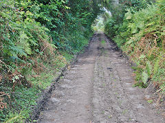 
Morlais Castle Quarries, the tramroad from Merthyr, September 2021