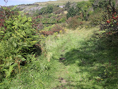 
The tramway from Pant to the sand pits at Pontsticill, September 2021