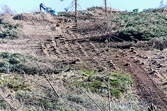 
Log hauler at Torpantau Station, March 2020