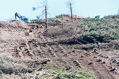 
Log hauler at Torpantau Station, March 2020