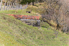 
The remains of Torpantau Station, March 2020