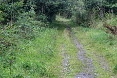 
The trackbed of the Blaenrhondda branch, September 2019