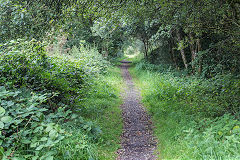 
The trackbed of the Blaenrhondda branch, September 2019