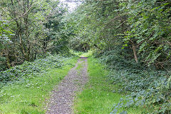 
The trackbed of the Blaenrhondda branch, September 2019