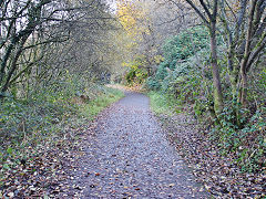 'The Doctors Tramroad' near Trehafod, November 2021