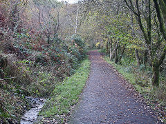 'The Doctors Tramroad' near Trehafod, November 2021