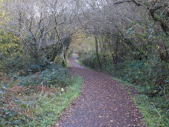 'The Doctors Tramroad' near Trehafod, November 2021