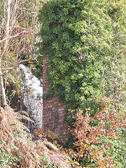 Hafod Colliery No 1 level, a furnace ventilation level opened c1910 at ST 0429 9123, November 2021