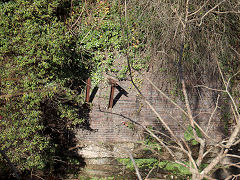 Girders on the riverbank near Hafod Colliery, November 2021