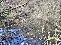 Hafod Colliery reservoir at ST 0408 9141, November 2021