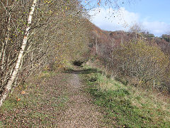Hafod Colliery spoil tips tramway at ST 0371 9121, November 2021