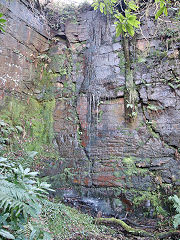 
A small quarry on the Doctors Tramroad at ST 0475 9080, November 2021