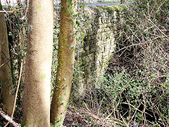 
Gelli Isaf culvert, Aberdare Tramroad, March 2021