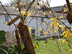 
Mill Street Cottages, Aberdare, March 2021