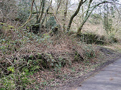 
The Taff Vale Railways' Dare Valley branch, Cwmdare Colliery sidings, March 2021