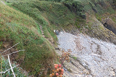 
All Slade mine, Brandy Cove, August 2018