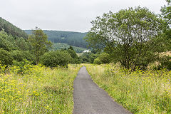 Trackbed towards Blaengwynfi in the distance, August 2016