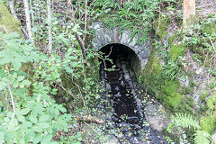 
Culvert under GWR at Cymmer, August 2016