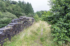 Gelli Viaduct, RSBR, Cymmer, August 2016