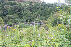 
Gelli Viaduct, RSBR, Cymmer, August 2016