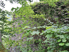 Gelliau Colliery engine house, July 2021