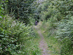 Tramway to Graig Cilfrew Colliery, July 2021