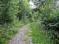 
Tramway to Graig Cilfrew Colliery, July 2021