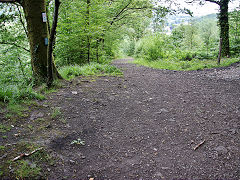 
Looking down the Graig Gwladys incline, July 2021