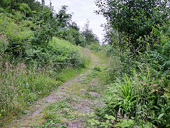 Graig Gwladys main tramway, July 2021