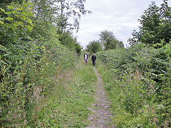 
Graig Gwladys main tramway, July 2021