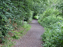 
Graig Gwladys main tramway, July 2021