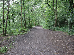 Graig Gwladys main tramway, July 2021