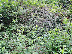 The bridge over the main tramway to old tips near Graig Cilfrew Colliery, July 2021