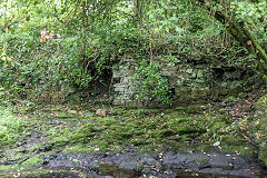 
Cwm Clydach, June 2018