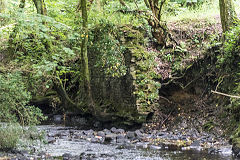 
Cwm Clydach, June 2018