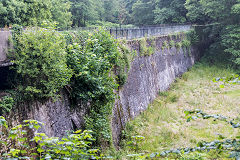 Cwm Clydach, June 2018