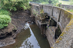 
Cwm Clydach, June 2018