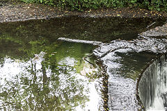 Neath Abbey Ironworks Woollen Mills and site of Rolling Mills, June 2018