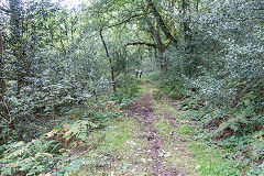 Cadoxton Colliery upper level possible tramway, September 2018