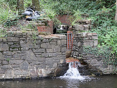 Neath Canal at Resolven, July 2022