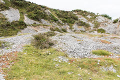 
Port Eynon saltworks quarries, September 2015